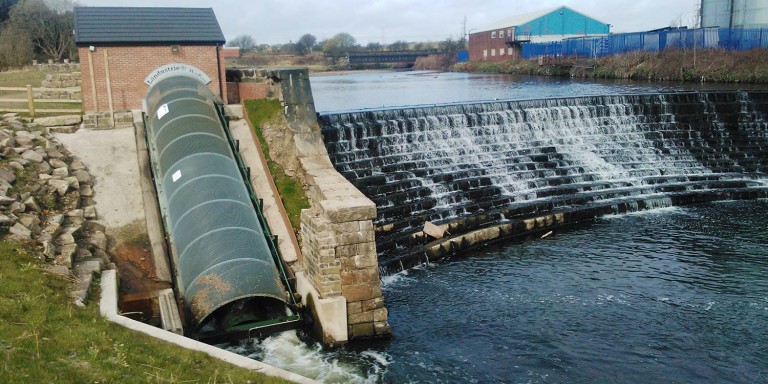 Bealeys Weir