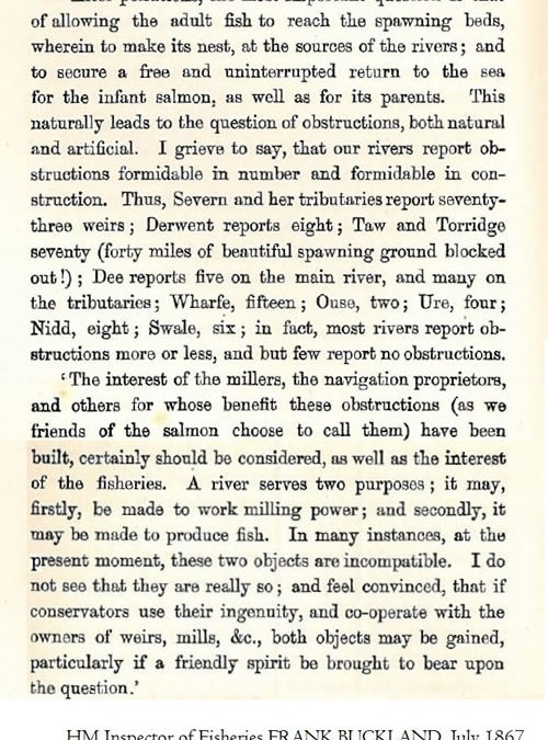 River vs fish power – an ancient argument!